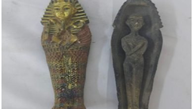 ضبط تابوت ومومياوات وتماثيل فرعونية